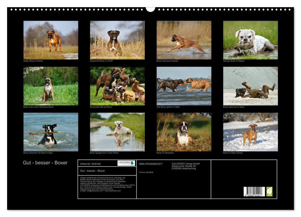 Gut - besser - Boxer (CALVENDO Wandkalender 2027)