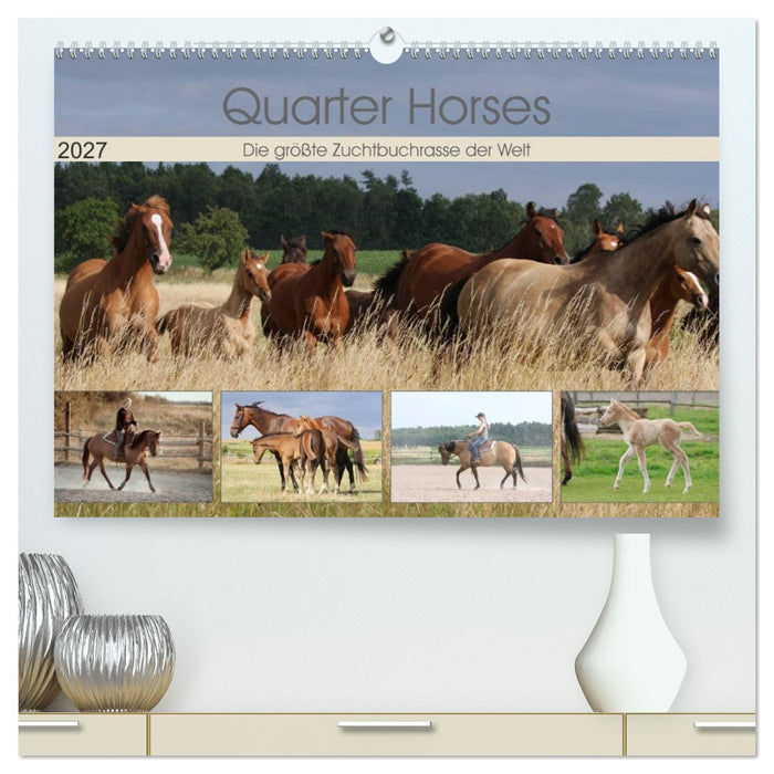 Quarter Horses - Die größte Zuchtbuchrasse der Welt (CALVENDO Premium Wandkalender 2027)