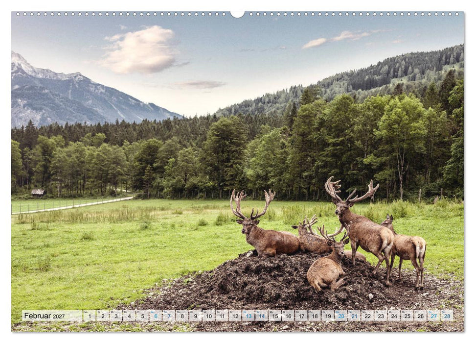 Österreich Berg und See (CALVENDO Wandkalender 2027)