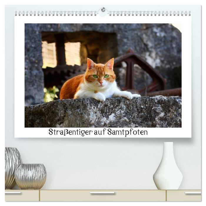 Straßentiger auf Samtpfoten (CALVENDO Premium Wandkalender 2027)