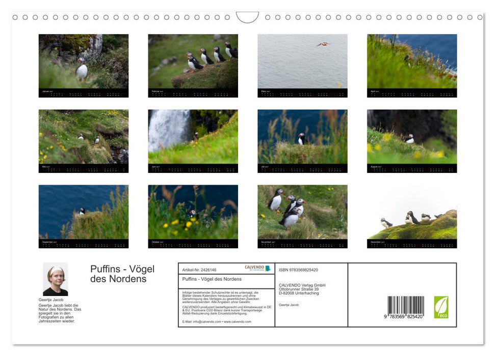 Puffins - Vögel des Nordens (CALVENDO Wandkalender 2027)