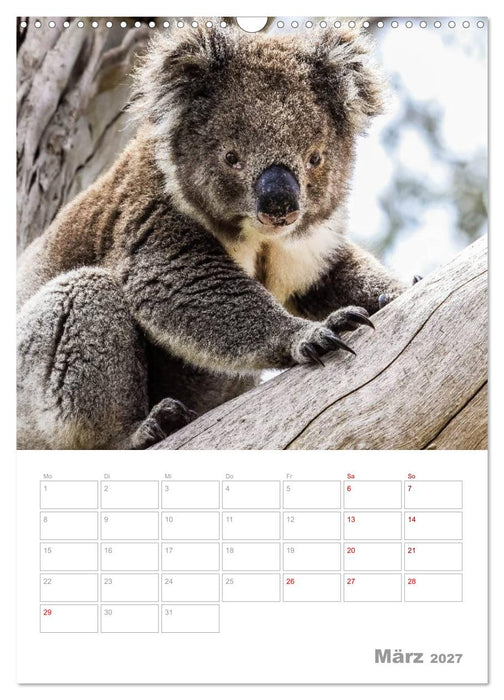 g'day Australien 2027 (CALVENDO Wandkalender 2027)
