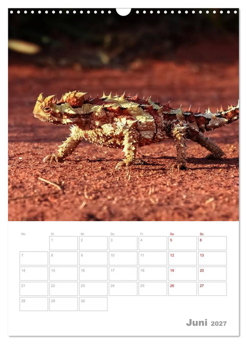 g'day Australien 2027 (CALVENDO Wandkalender 2027)