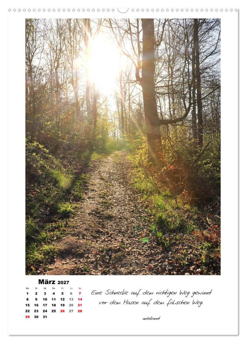 Wege durchs Jahr - Spaziergänge im schönen Nordhessen (CALVENDO Premium Wandkalender 2027)