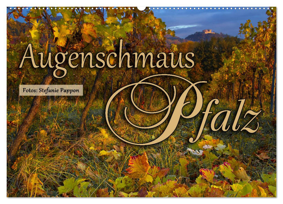 Augenschmaus Pfalz (CALVENDO Wandkalender 2027)