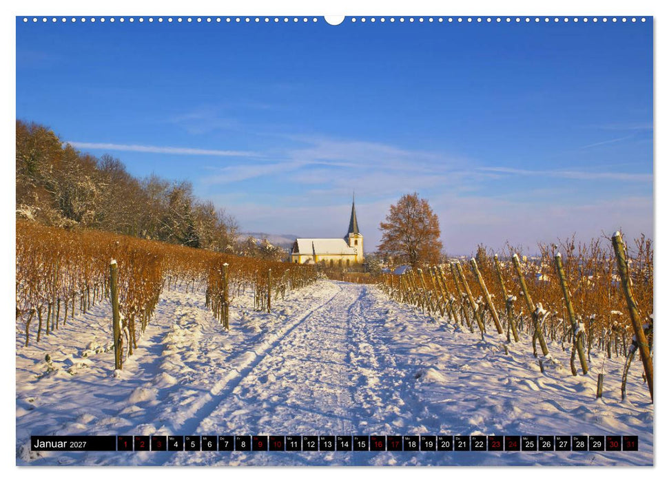 Augenschmaus Pfalz (CALVENDO Wandkalender 2027)