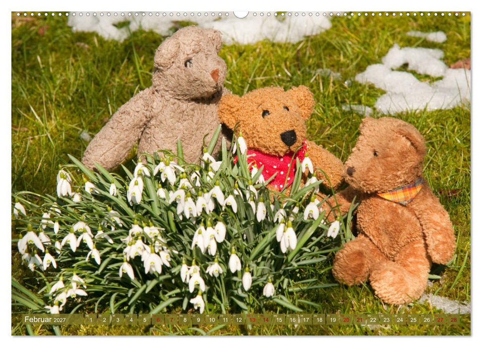 Kunterbunte Bärenwelt - Teddys (CALVENDO Wandkalender 2027)