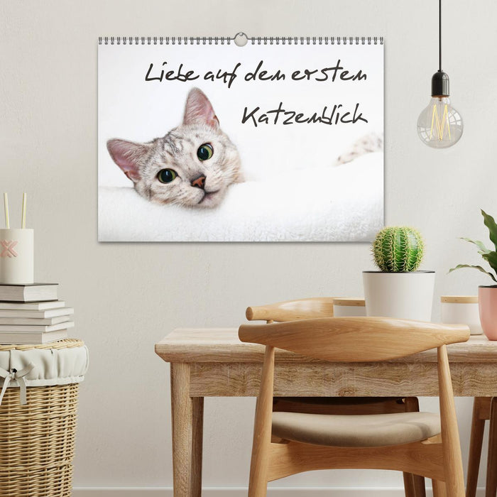 Liebe auf den ersten Katzenblick (CALVENDO Wandkalender 2027)