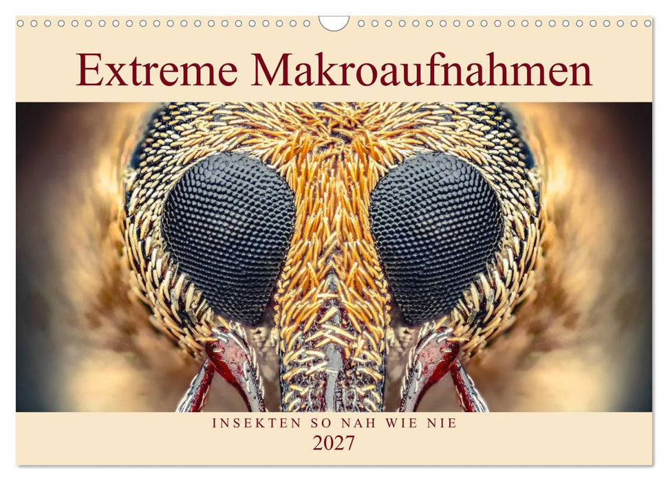 Extreme Makroaufnahmen - Insekten so nah wie nie (CALVENDO Wandkalender 2027)