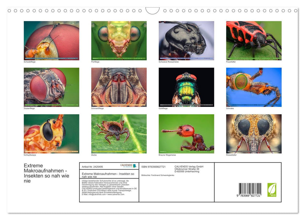 Extreme Makroaufnahmen - Insekten so nah wie nie (CALVENDO Wandkalender 2027)