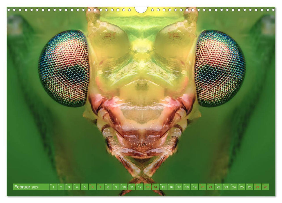 Extreme Makroaufnahmen - Insekten so nah wie nie (CALVENDO Wandkalender 2027)