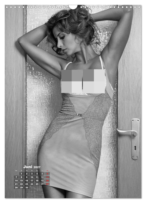 NILU LINGERIE 2027 (CALVENDO Wandkalender 2027)