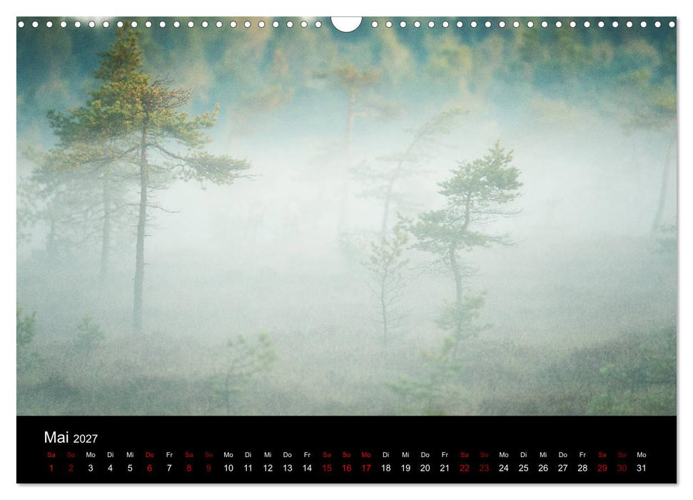 Wundersame Natur in Deutschland (CALVENDO Wandkalender 2027)