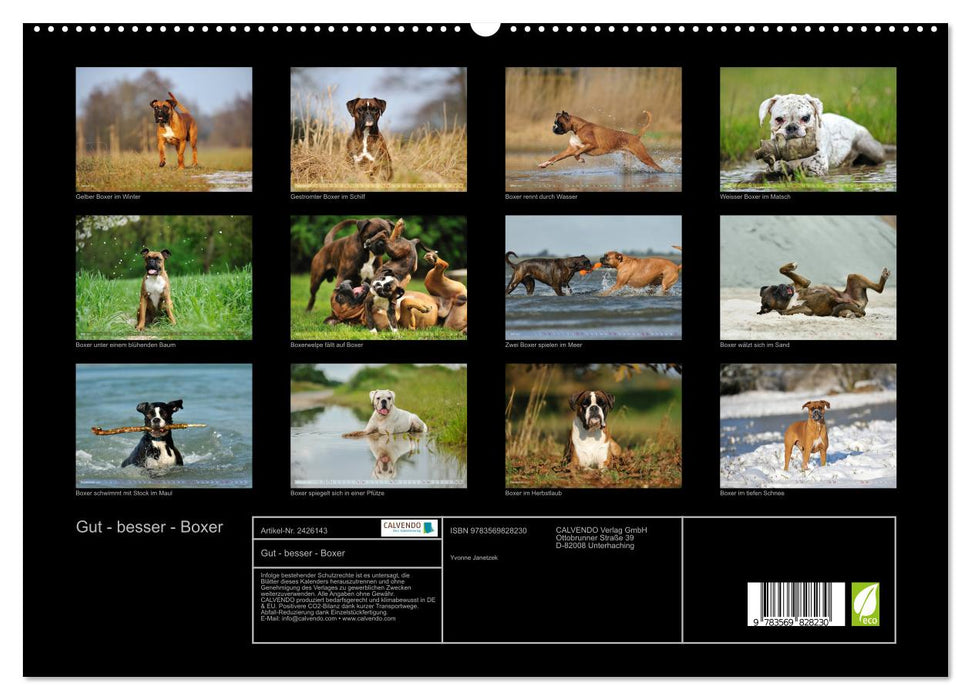 Gut - besser - Boxer (CALVENDO Premium Wandkalender 2027)