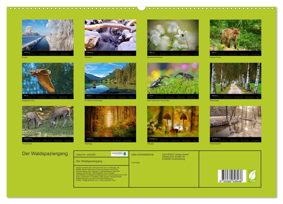 Der Waldspaziergang (CALVENDO Premium Wandkalender 2027)