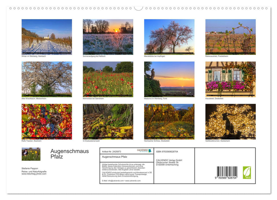 Augenschmaus Pfalz (CALVENDO Premium Wandkalender 2027)