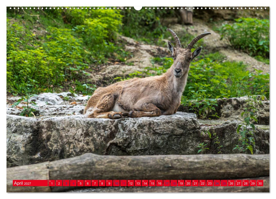 Hallstatt Impressionen (CALVENDO Wandkalender 2027)