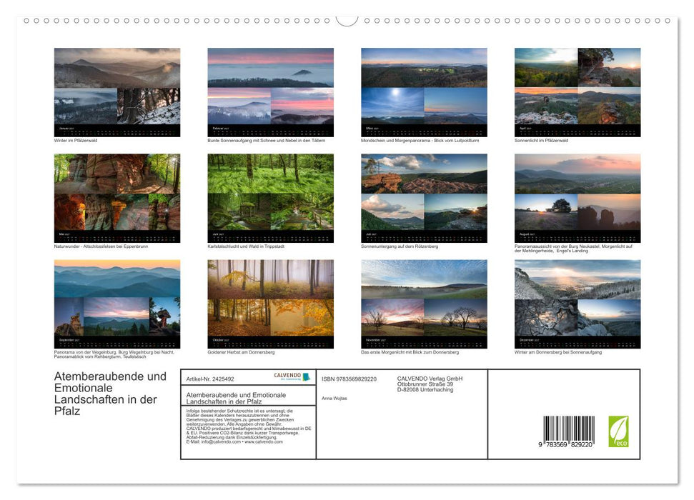 Atemberaubende und Emotionale Landschaften in der Pfalz (CALVENDO Premium Wandkalender 2027)