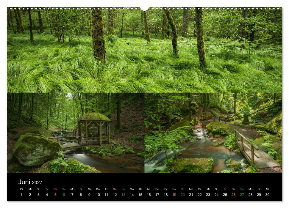 Atemberaubende und Emotionale Landschaften in der Pfalz (CALVENDO Premium Wandkalender 2027)
