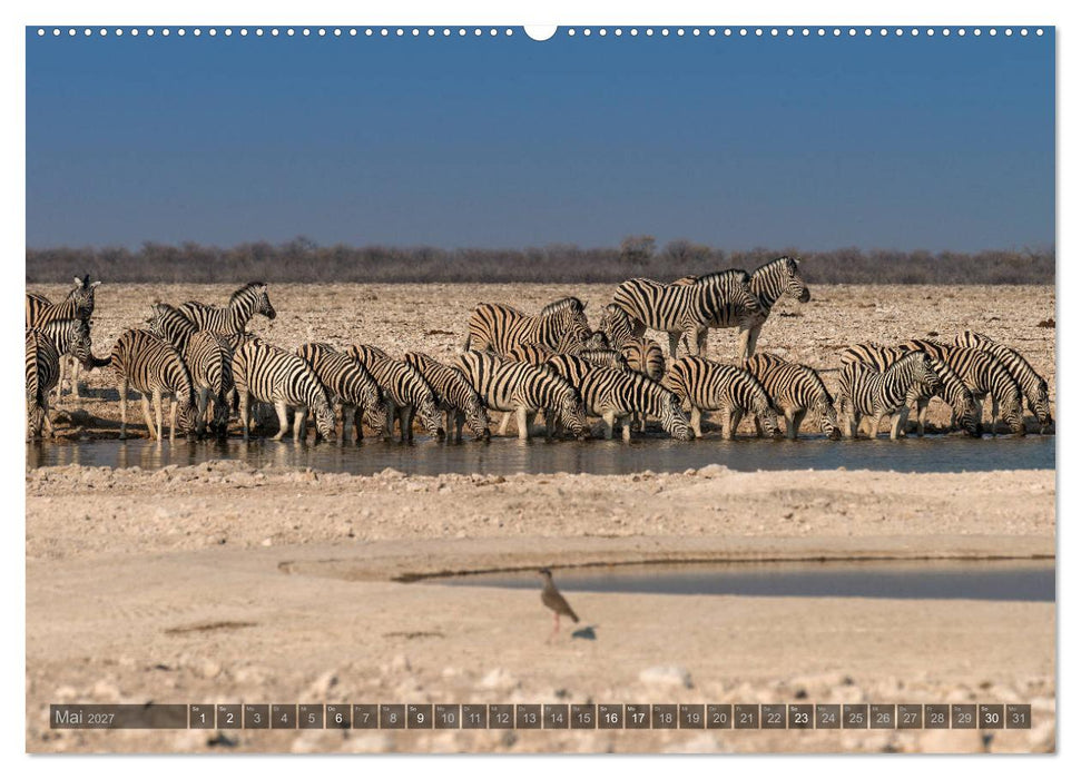 ETOSHA – Namibia Highlights (CALVENDO Premium Wandkalender 2027)