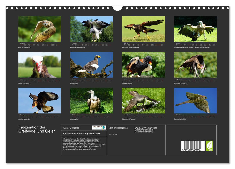 Faszination der Greifvögel und Geier (CALVENDO Wandkalender 2027)