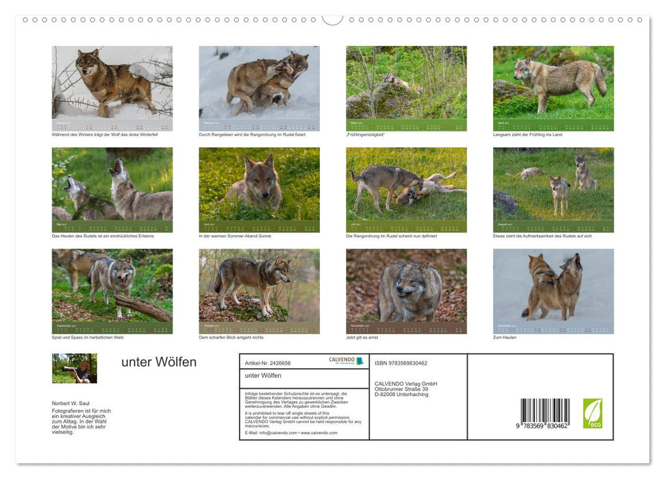 unter Wölfen (CALVENDO Premium Wandkalender 2027)