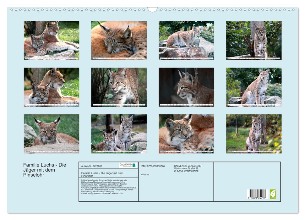 Familie Luchs - Die Jäger mit dem Pinselohr (CALVENDO Wandkalender 2027)