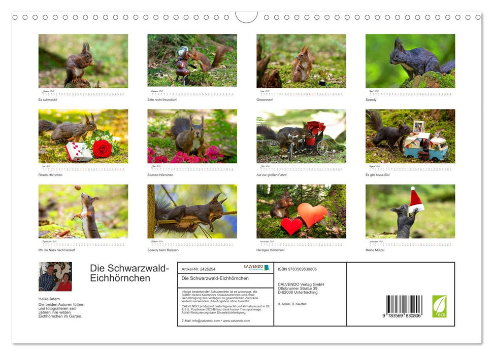 Die Schwarzwald-Eichhörnchen (CALVENDO Wandkalender 2027)