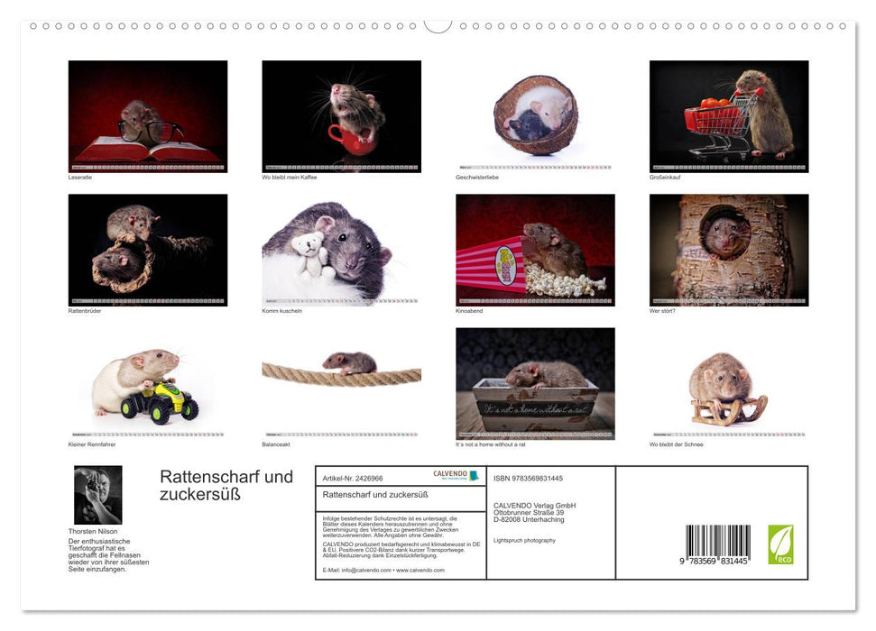 Rattenscharf und zuckersüß (CALVENDO Premium Wandkalender 2027)