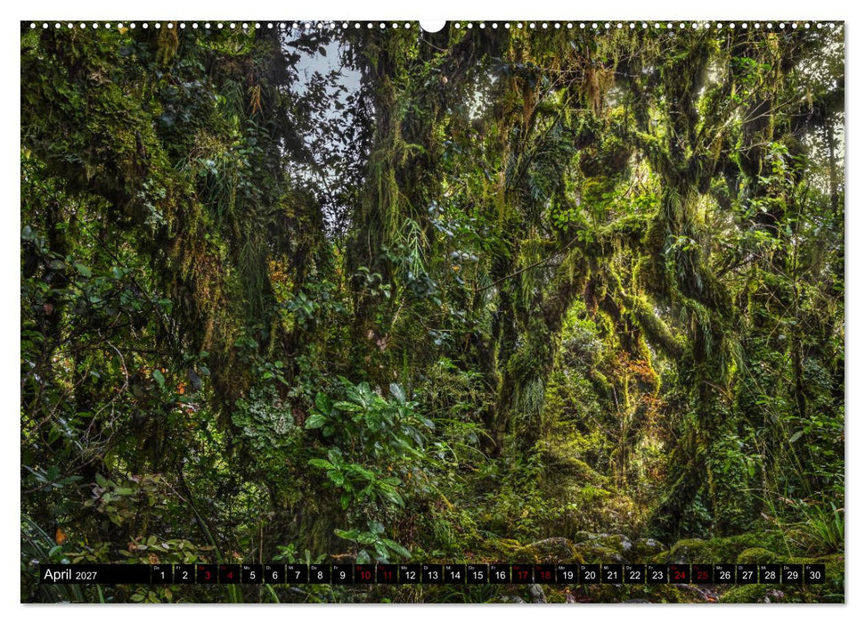 Trauminseln Neuseeland (CALVENDO Premium Wandkalender 2027)