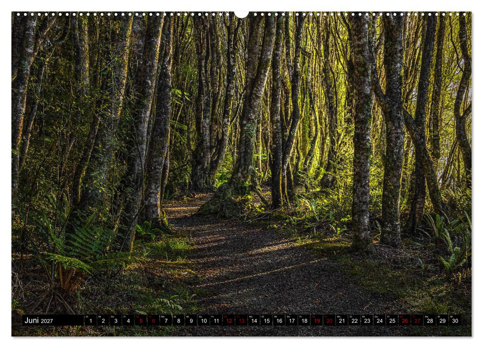 Trauminseln Neuseeland (CALVENDO Premium Wandkalender 2027)