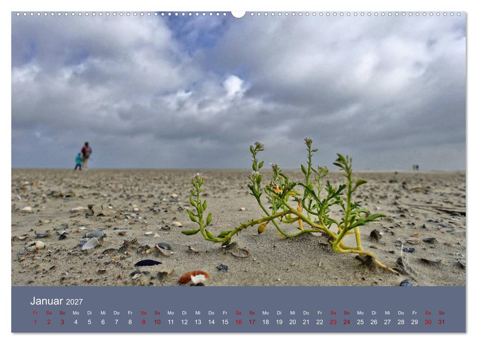 Norderney - Meine Trauminsel (CALVENDO Wandkalender 2027)