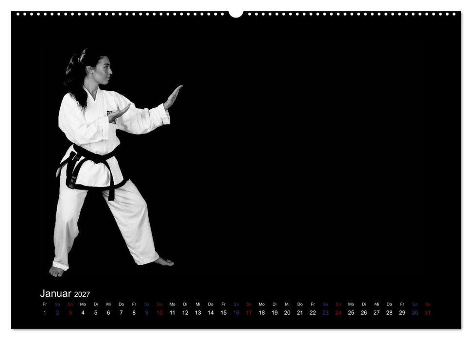 Traditionelles Taekwon-Do (CALVENDO Premium Wandkalender 2027)