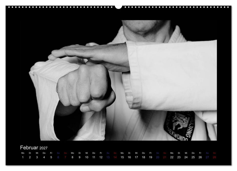 Traditionelles Taekwon-Do (CALVENDO Premium Wandkalender 2027)