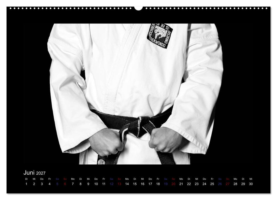 Traditionelles Taekwon-Do (CALVENDO Premium Wandkalender 2027)
