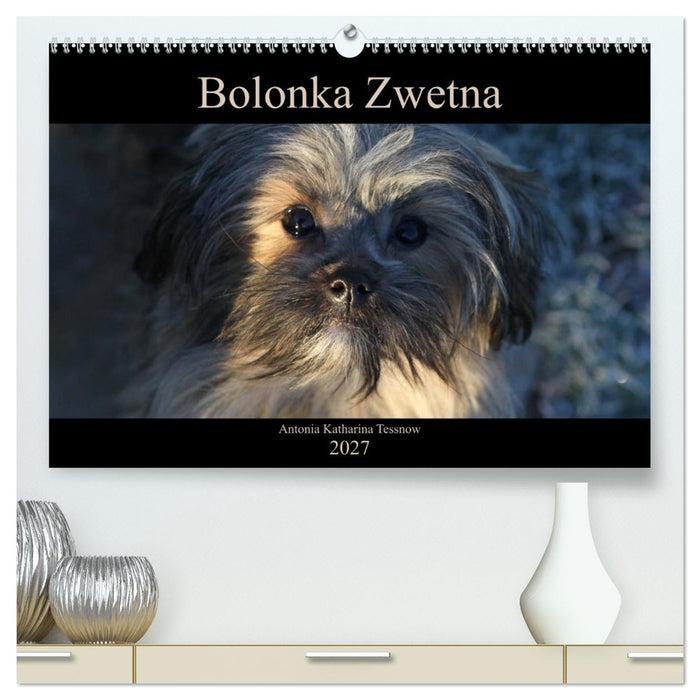Bolonka Zwetna 2027 (CALVENDO Premium Wandkalender 2027)