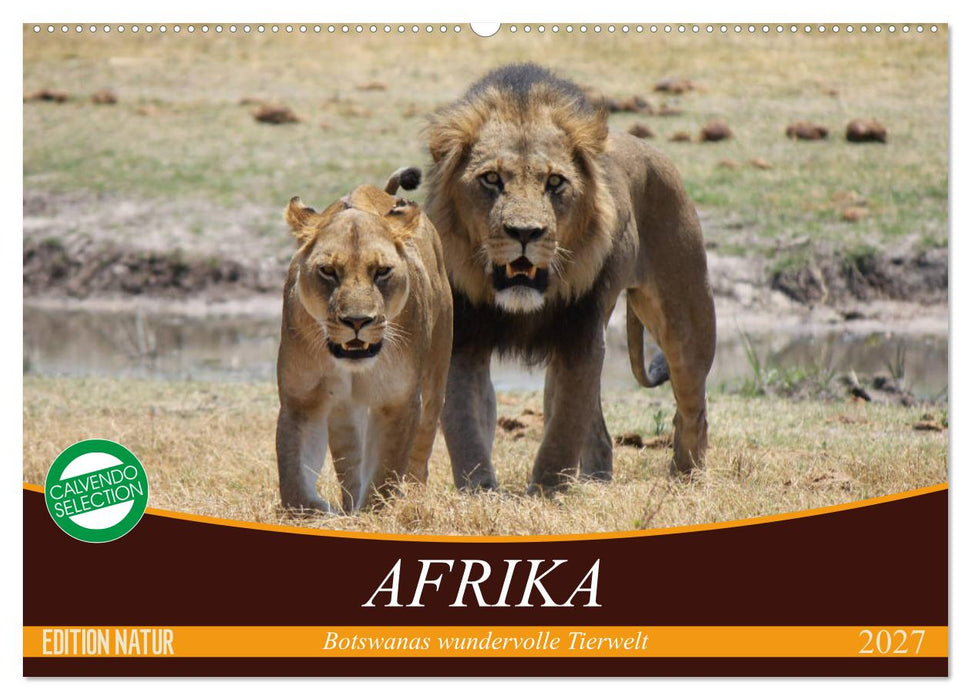 Afrika. Botswanas wundervolle Tierwelt (CALVENDO Wandkalender 2027)