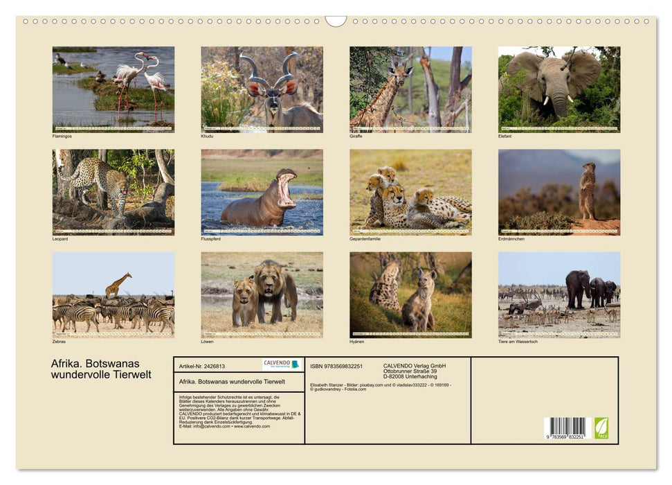 Afrika. Botswanas wundervolle Tierwelt (CALVENDO Wandkalender 2027)