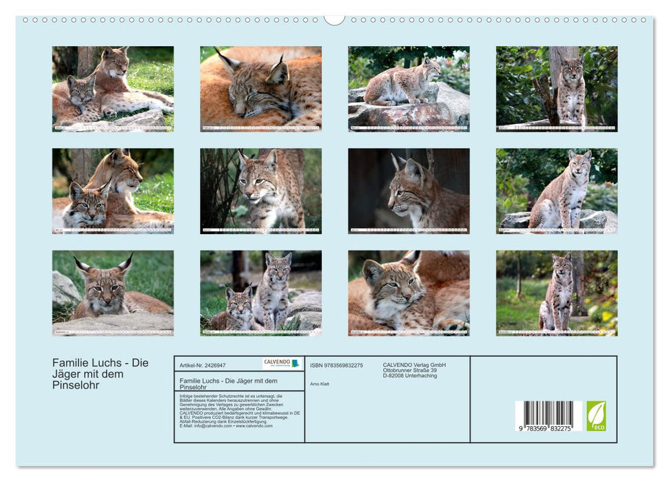 Familie Luchs - Die Jäger mit dem Pinselohr (CALVENDO Premium Wandkalender 2027)