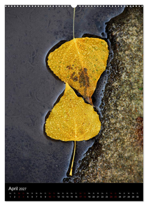 NATUREART - KUNST IN DER NATUR (CALVENDO Wandkalender 2027)