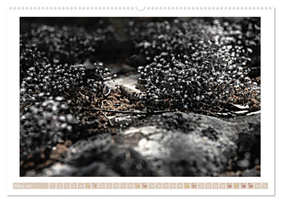 Sardinien Impressionen (CALVENDO Premium Wandkalender 2027)