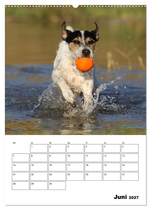 Tender Fellows - Parson Russell Terrier (CALVENDO Wandkalender 2027)
