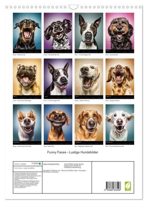Funny Faces - Lustige Hundebilder (CALVENDO Wandkalender 2027)