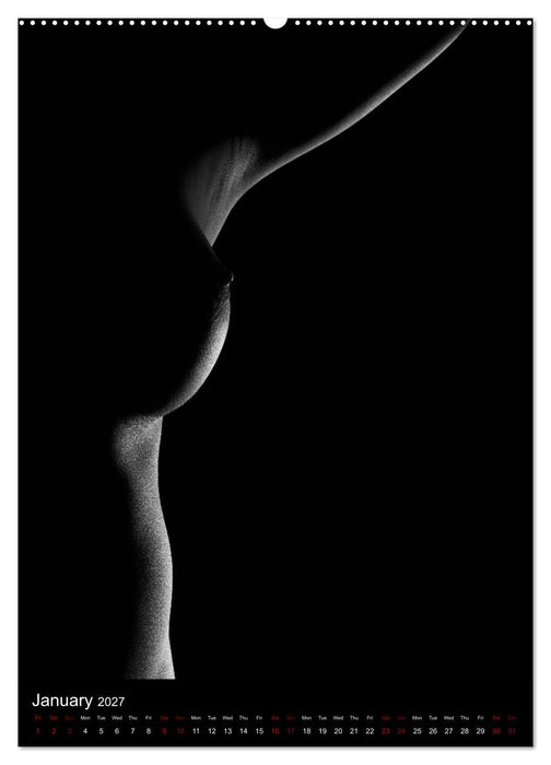 erotic shadows 2027 (CALVENDO Premium-Calendar 2027)