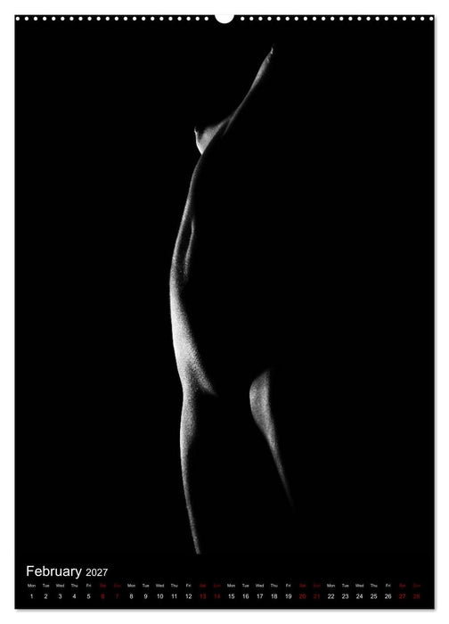 erotic shadows 2027 (CALVENDO Premium-Calendar 2027)