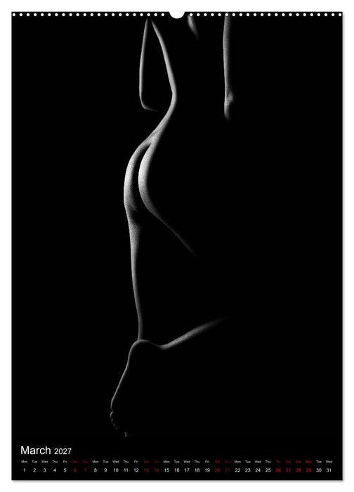 erotic shadows 2027 (CALVENDO Premium-Calendar 2027)