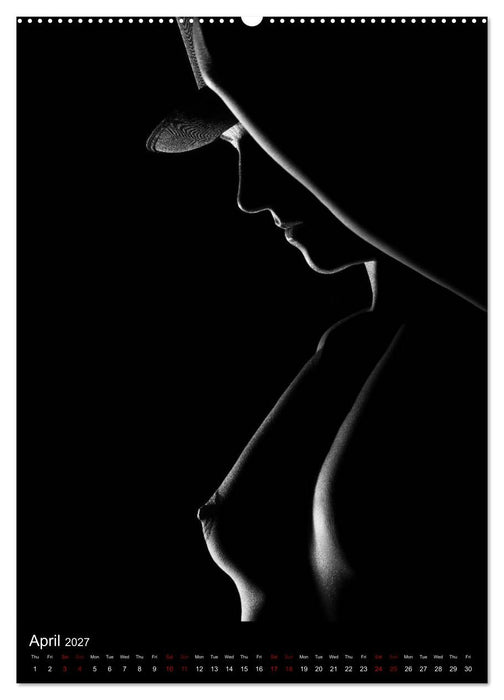 erotic shadows 2027 (CALVENDO Premium-Calendar 2027)