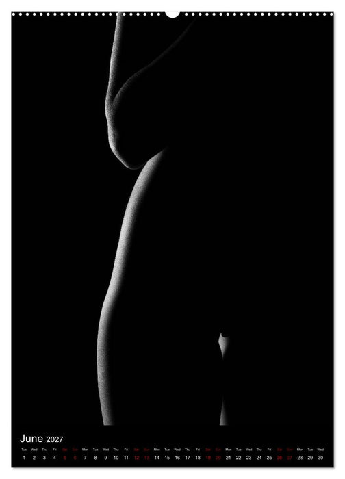 erotic shadows 2027 (CALVENDO Premium-Calendar 2027)