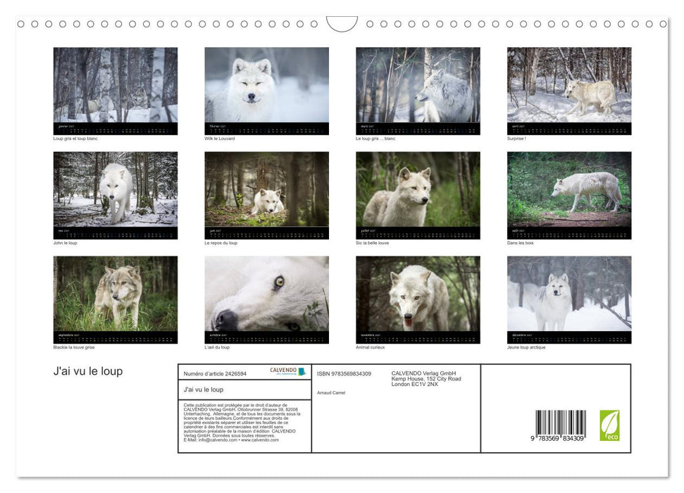 J'ai vu le loup (CALVENDO Calendrier mensuel 2027)