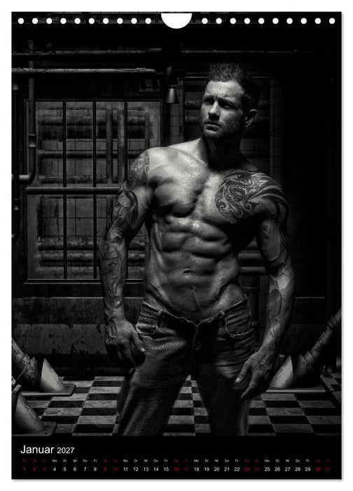 Master - Body...trainierte Körper (CALVENDO Wandkalender 2027)